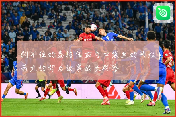 刹不住的泰格伍兹与口袋里的两粒药丸的背后故事成长观察